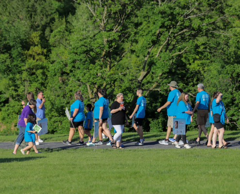 people walking on a path